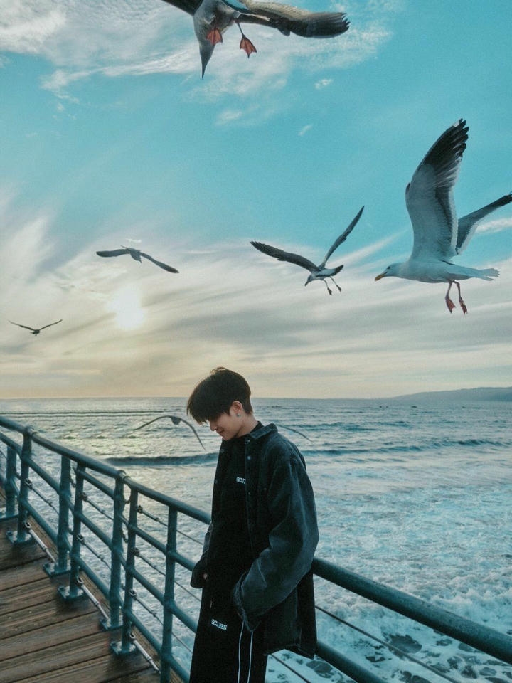 Aesthetic DP Ideas