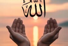 Allah DP 2026