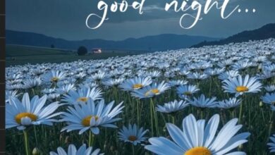Animated Good Night Images