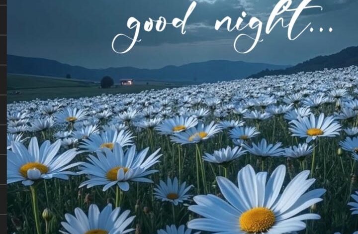 Animated Good Night Images