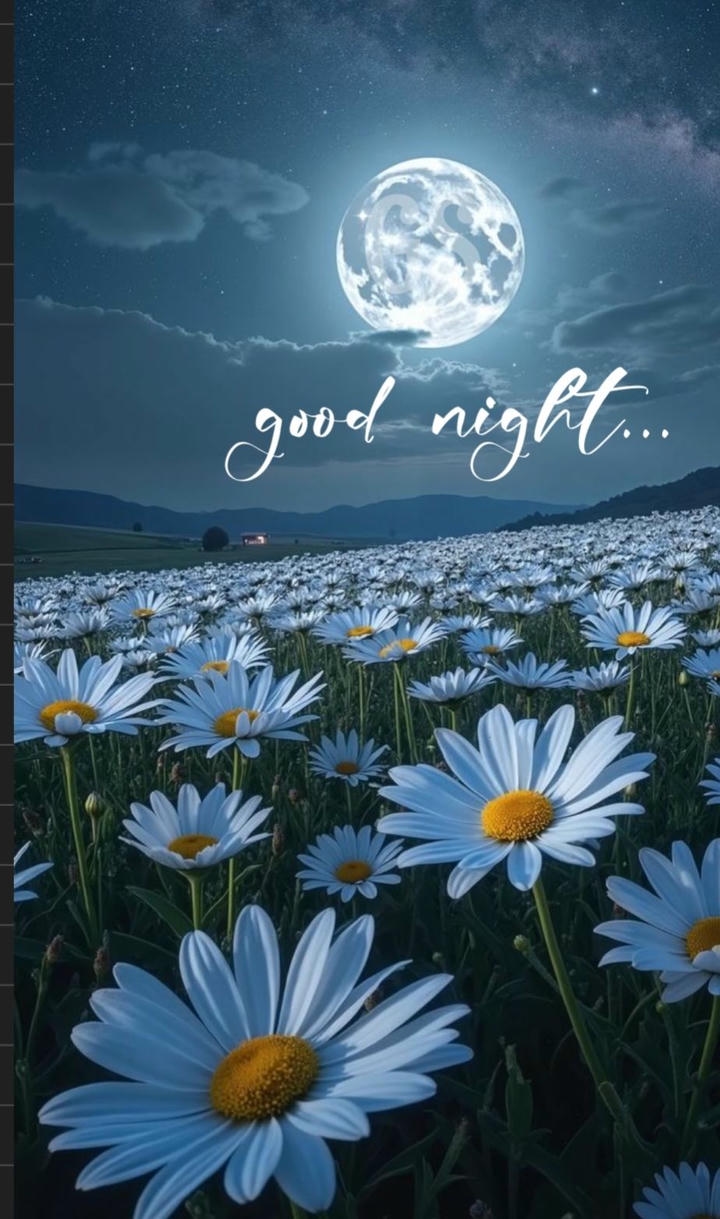Animated Good Night Images