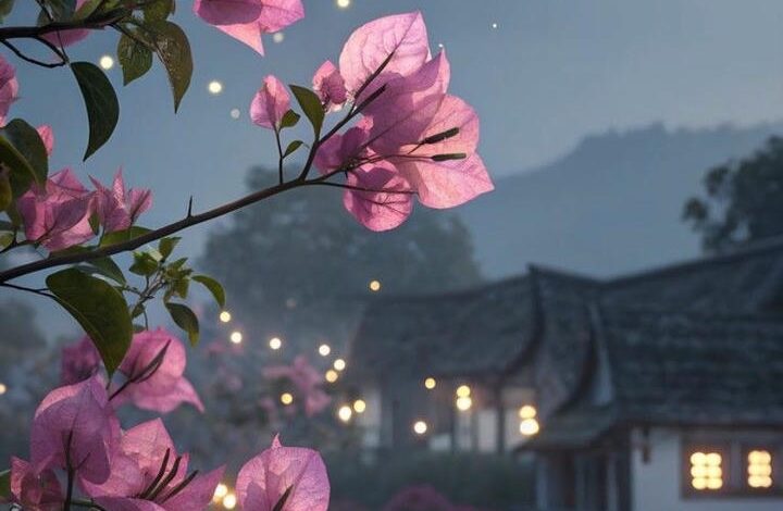 Beautiful Good Evening Images