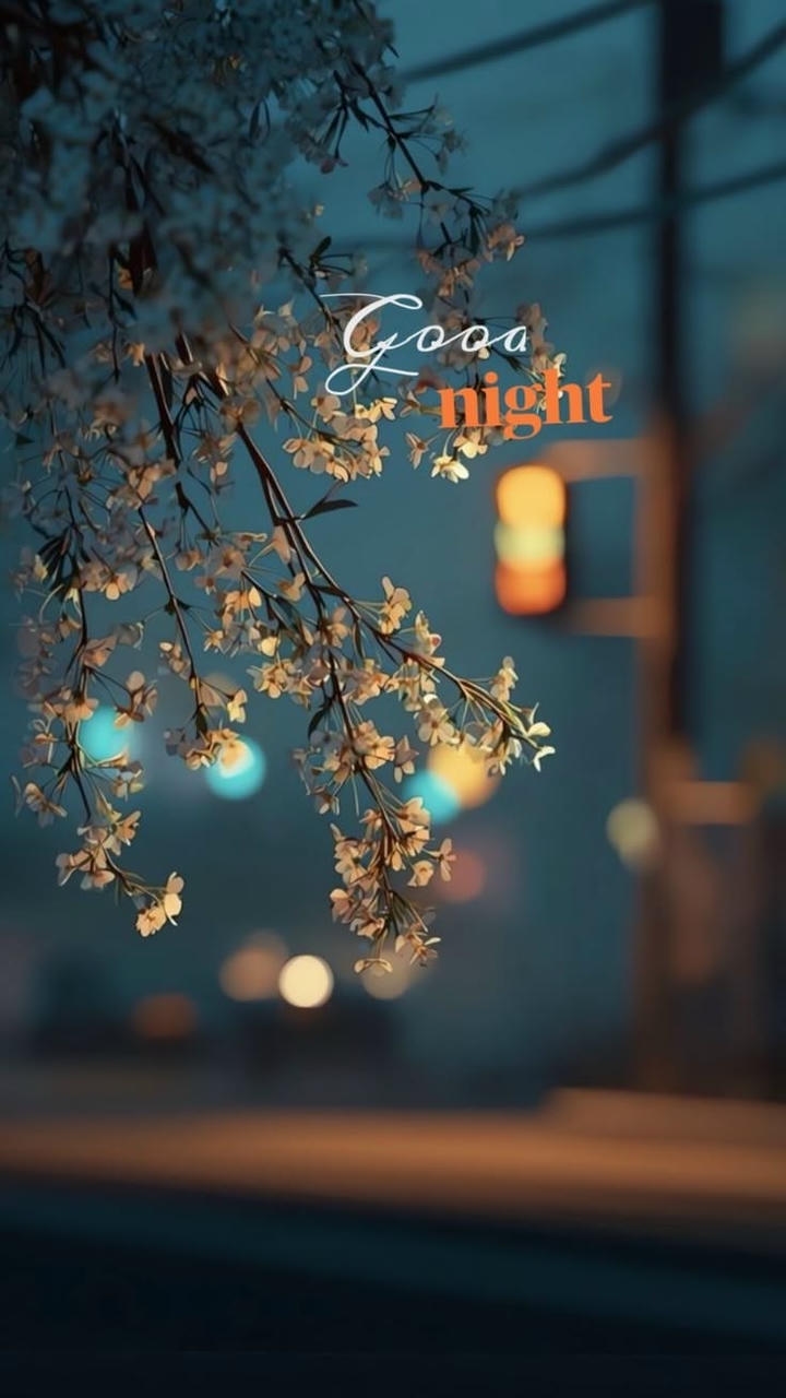 Best Good Night Images