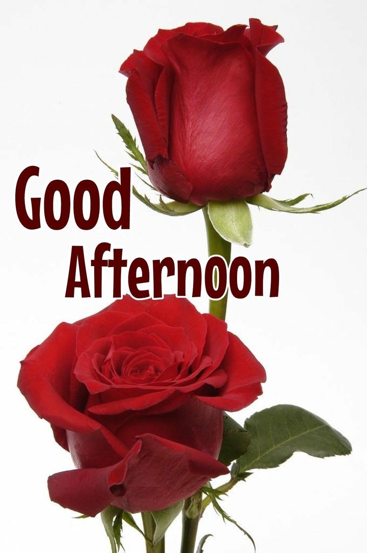GD Afternoon Images
