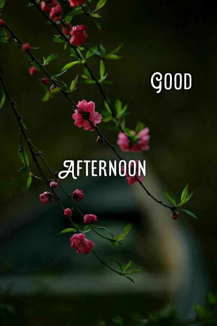 Good Afternoon Greetings Images