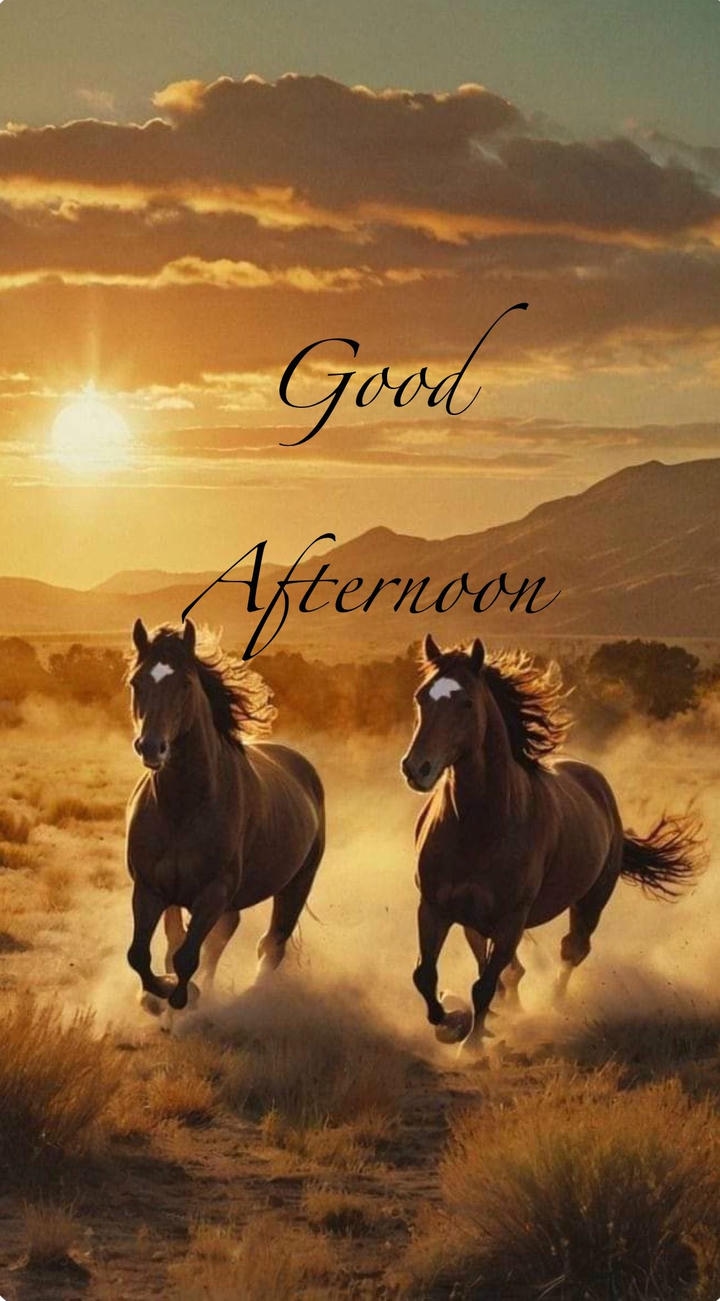 Good Afternoon Images Free Download