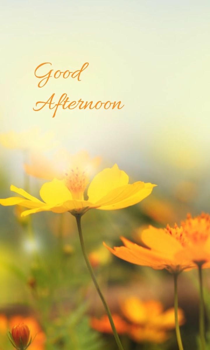 Good Afternoon Images for Whatsapp