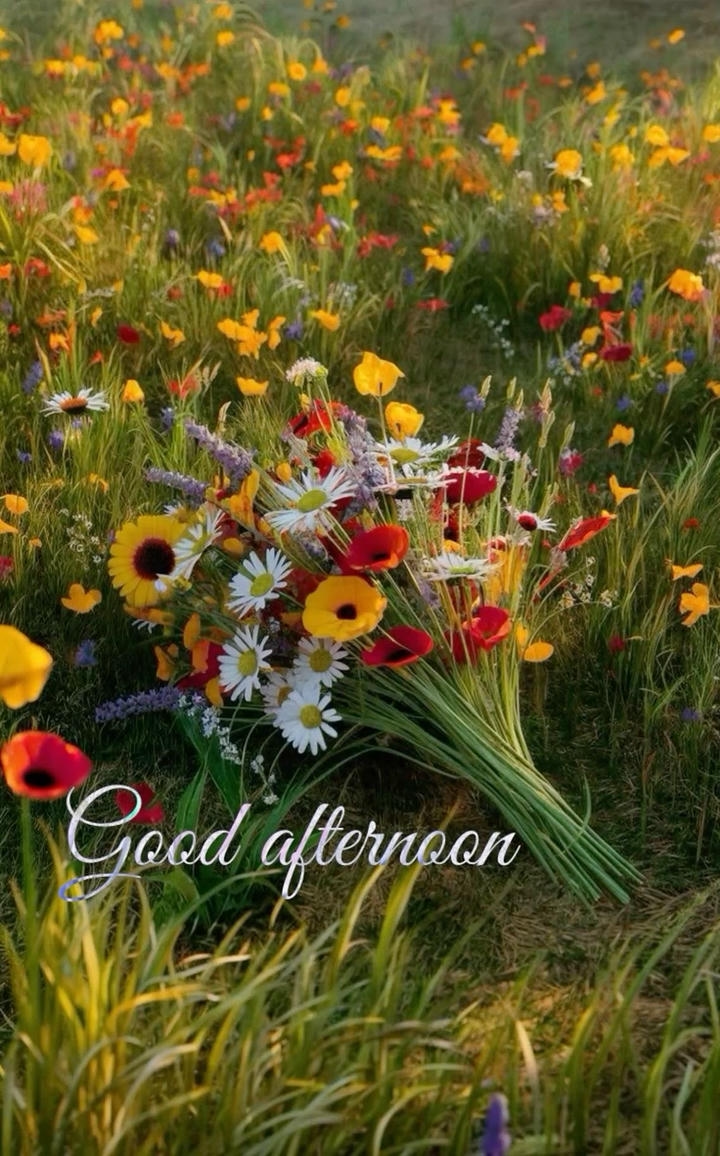 Good Afternoon Photos