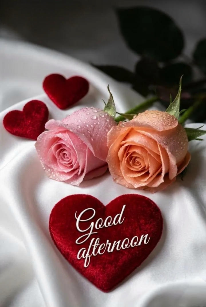 Good Afternoon Pics