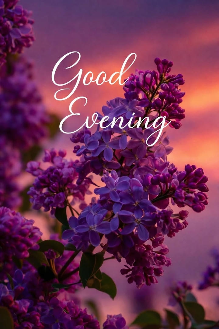 Good Evening Images HD Download