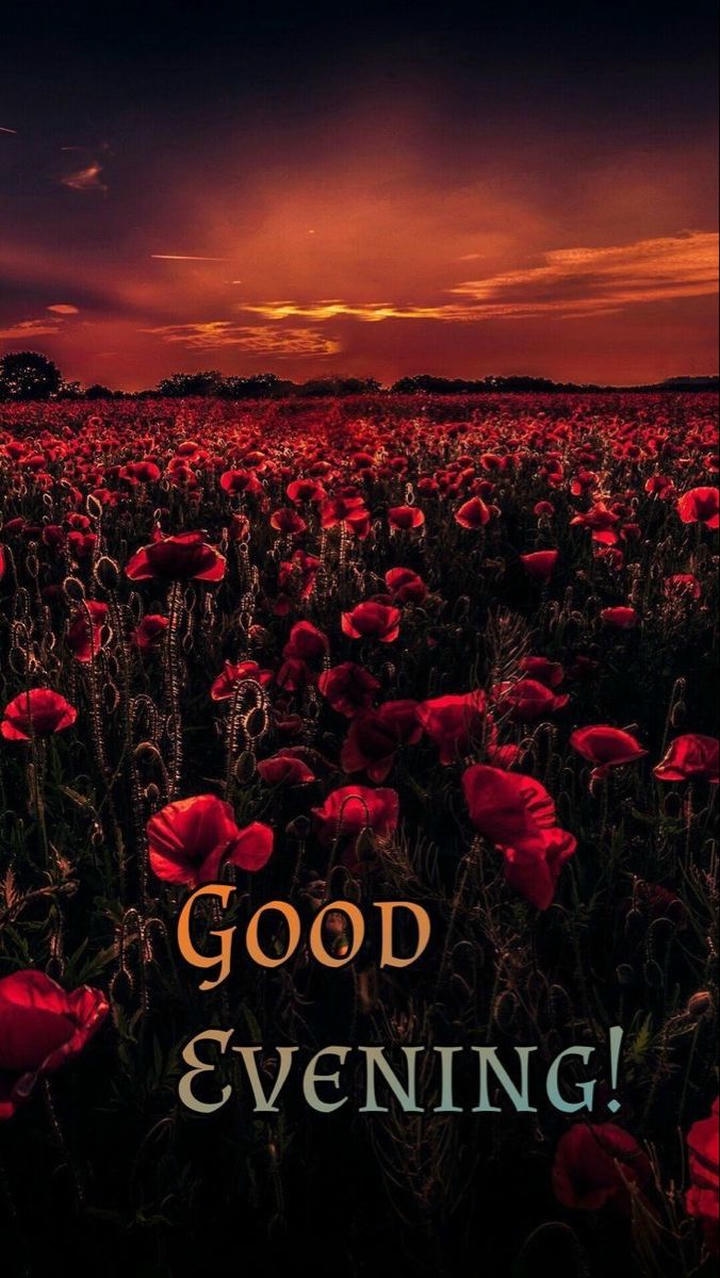 Good Evening Images Love