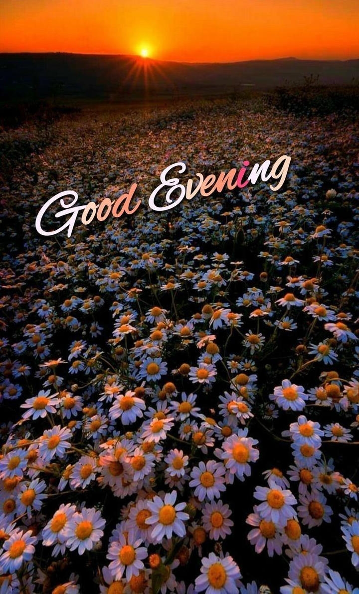 Good Evening Images Pics