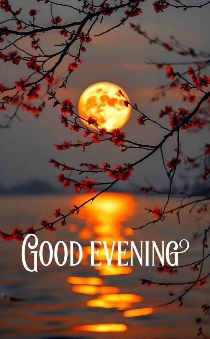 Good Evening Images Sunset