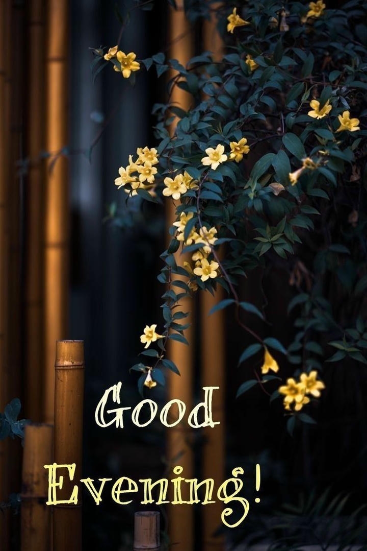 Good Evening Images for Friends