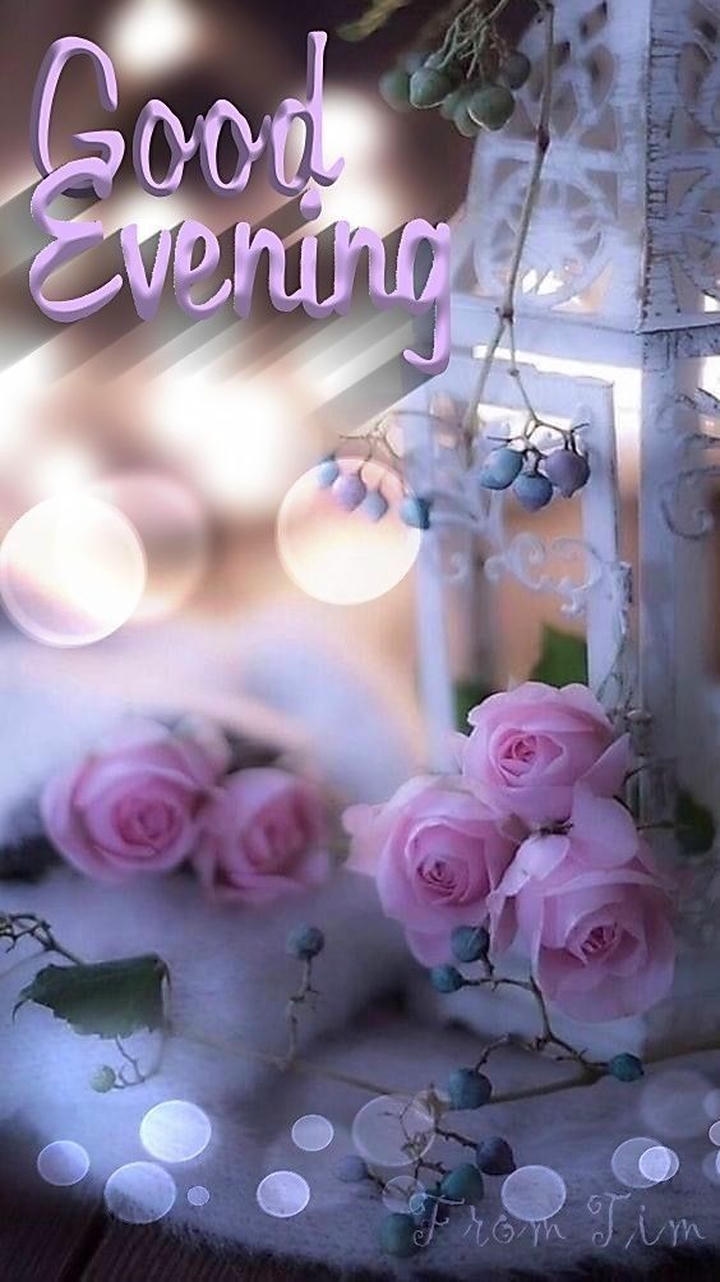 Good Evening Images for Lover