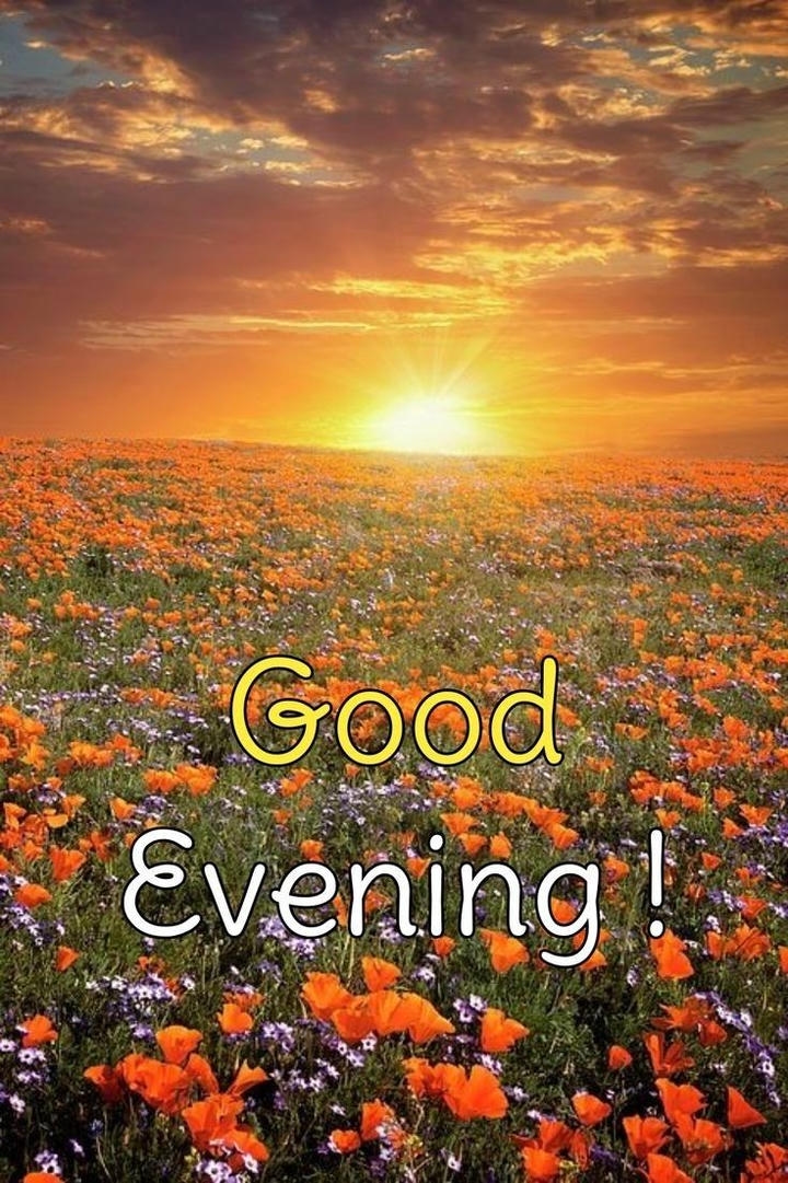 Good Evening Images for WhatsApp Status