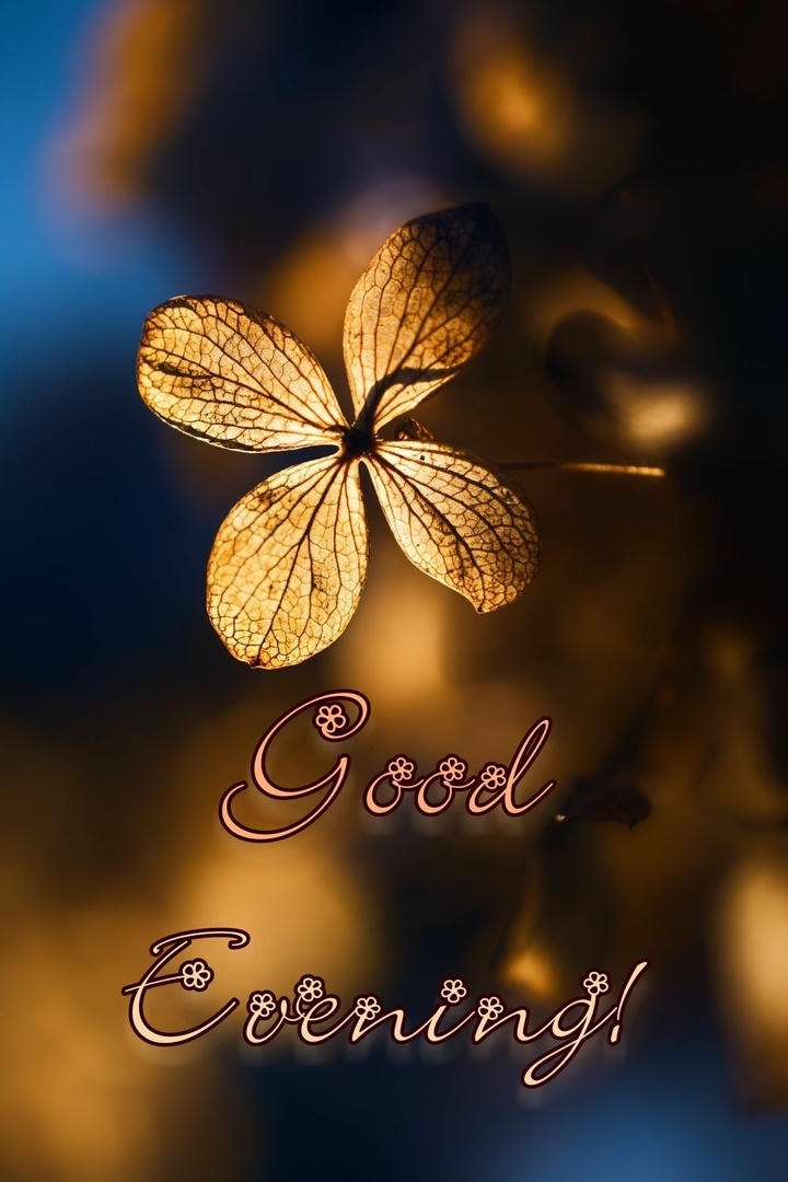 Good Evening Images with Hindi Quotes