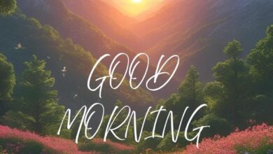 Good Morning Flower Images