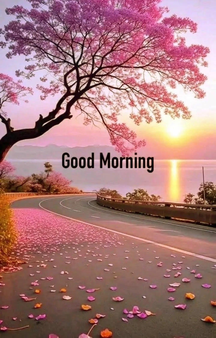 Good Morning Images