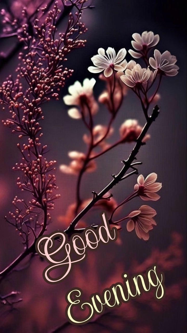 Gud Evening Images HD