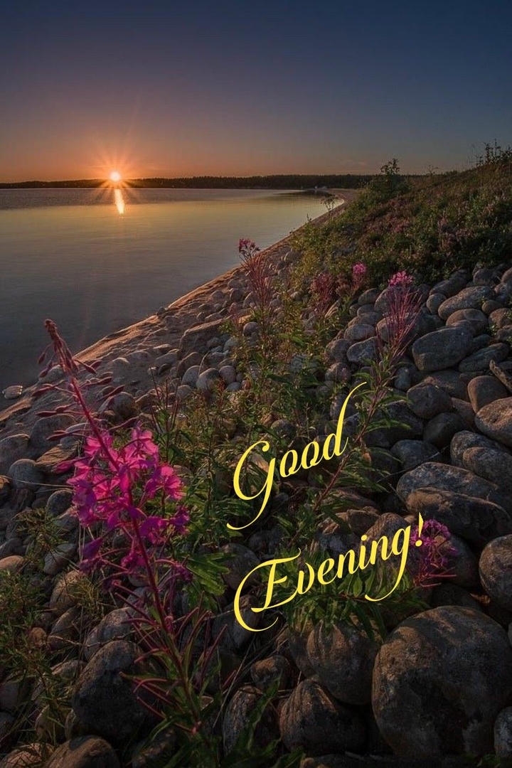 Latest Good Evening Images
