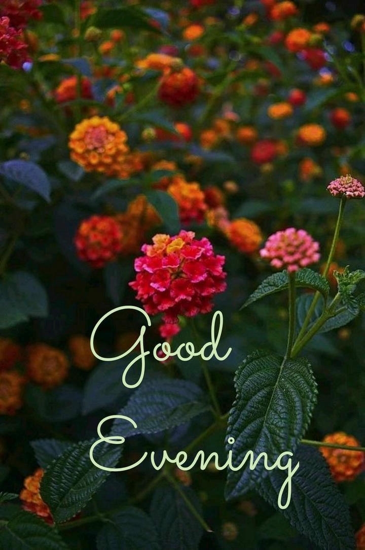 New Good Evening Images 2026