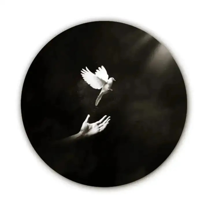 New No DP images