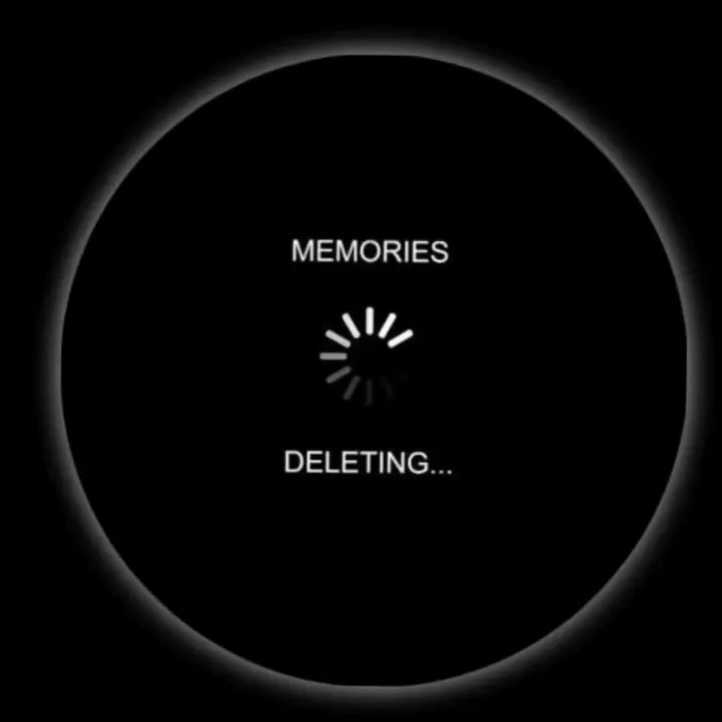 No DP images for WhatsApp