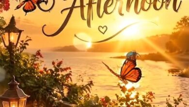 Romantic Good Afternoon Images