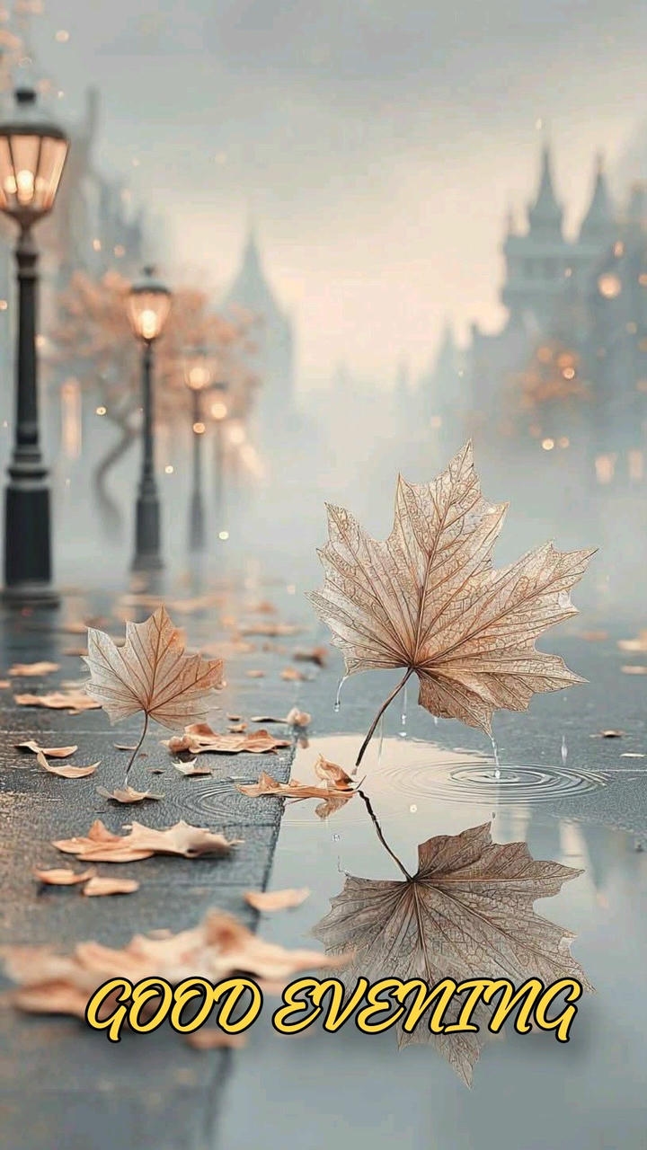 Romantic Good Evening Images for WhatsApp
