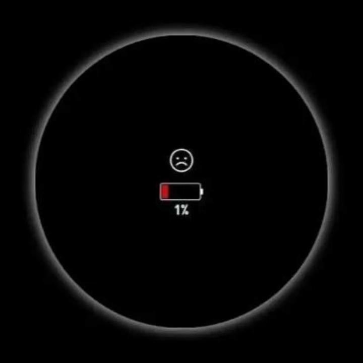 Single DP download