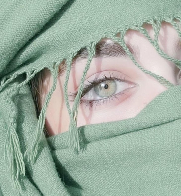 Stylish Hijab girl DP