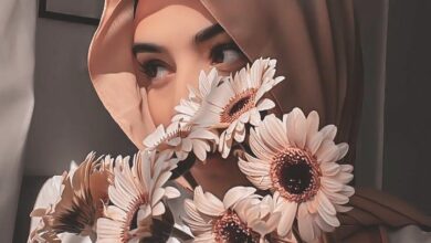beautiful stylish Instagram Hijab DP